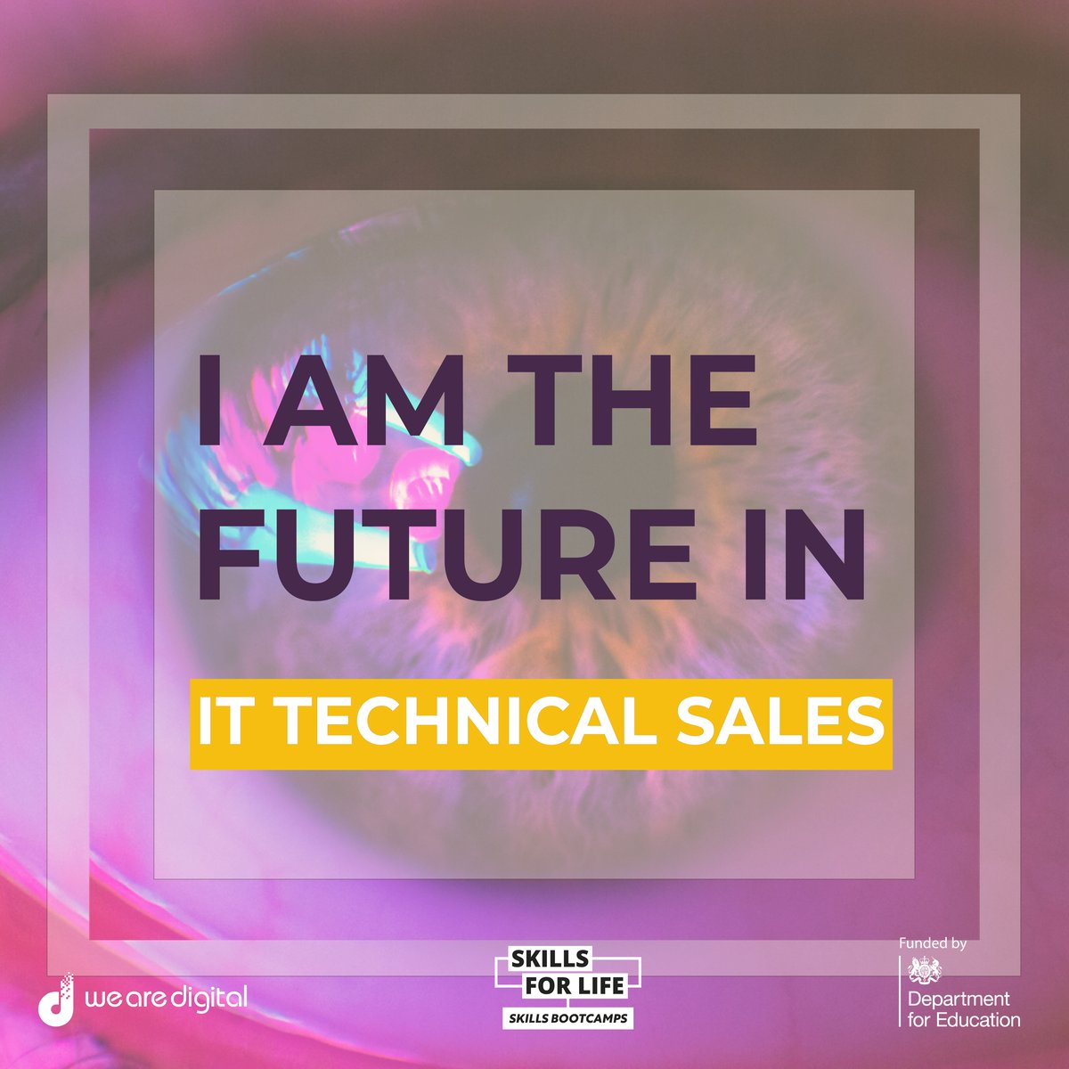 Our Skills Bootcamps in IT Technical Sales creative