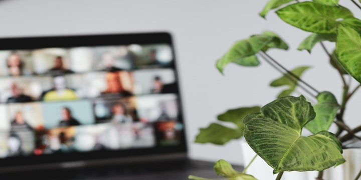 A-laptop-computer-displaying-team-video-call-and-on-the-bottom-right-corner-there-is-a-green-flower-in-the-background